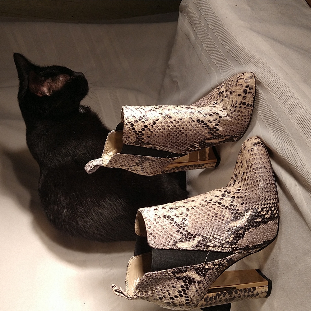 Snake skin ankle boots by BCBG Max Azria.  Made in Italy, 4" heels, cream/black.